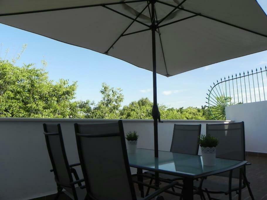Atico Con Terraza En Alameda De Hercules Sewilla Zewnętrze zdjęcie