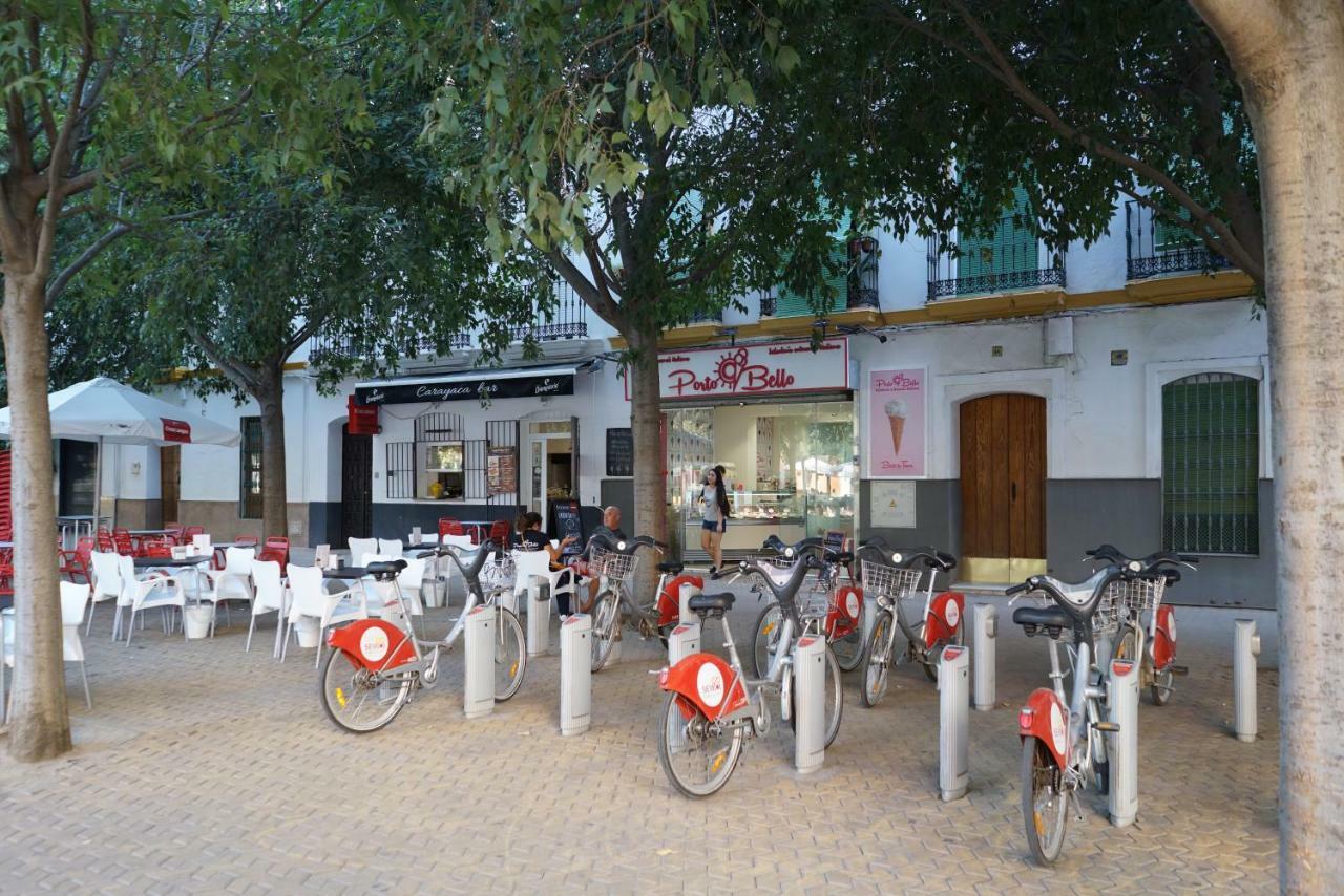 Atico Con Terraza En Alameda De Hercules Sewilla Zewnętrze zdjęcie