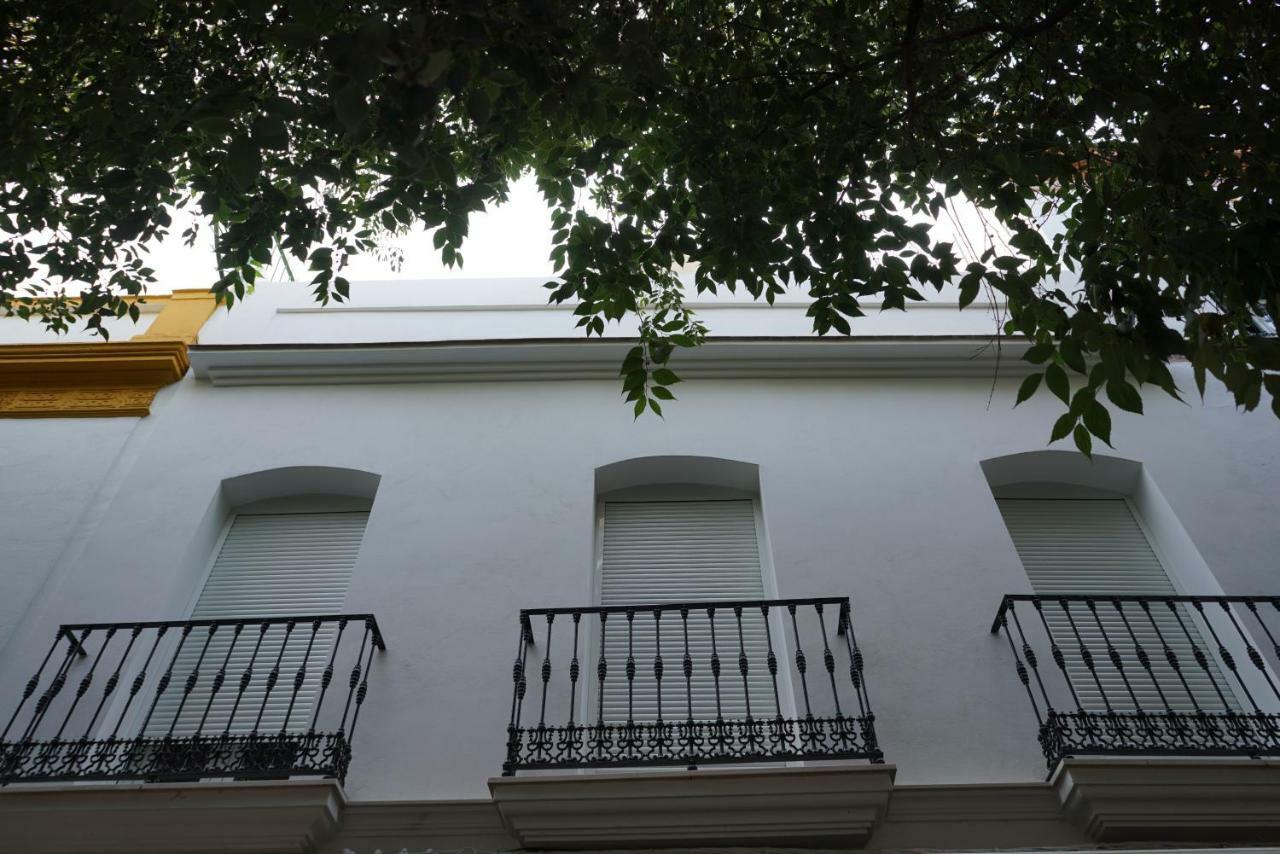 Atico Con Terraza En Alameda De Hercules Sewilla Zewnętrze zdjęcie